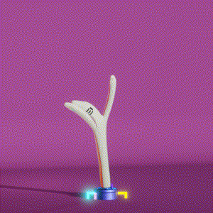 wacky_dude_tubes: 9645