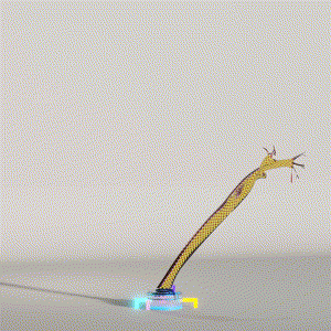 wacky_dude_tubes: 7046