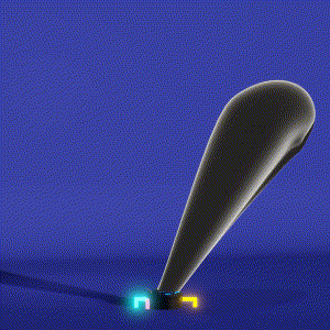 wacky_dude_tubes: 9466