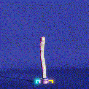 wacky_dude_tubes: 447