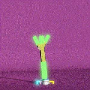 wacky_dude_tubes: 7756