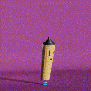 wacky_dude_tubes: 5202