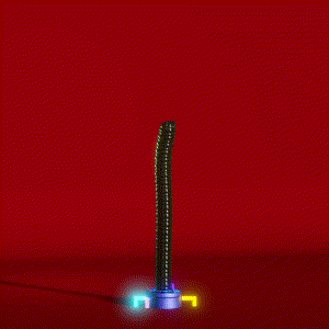 wacky_dude_tubes: 1625