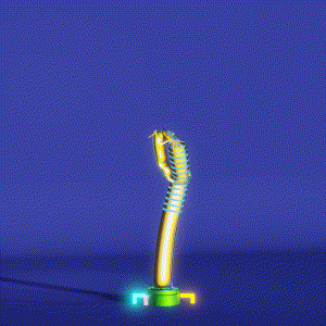 wacky_dude_tubes: 4512