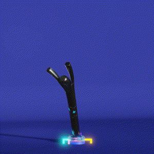 wacky_dude_tubes: 9515