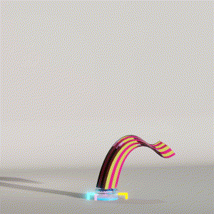 wacky_dude_tubes: 7479